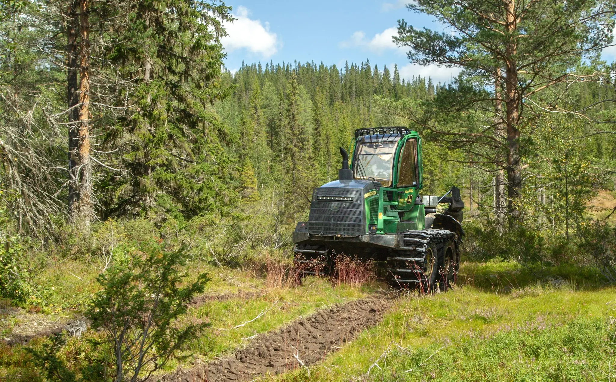 Bildet viser skogsmaskin hos Varli AS