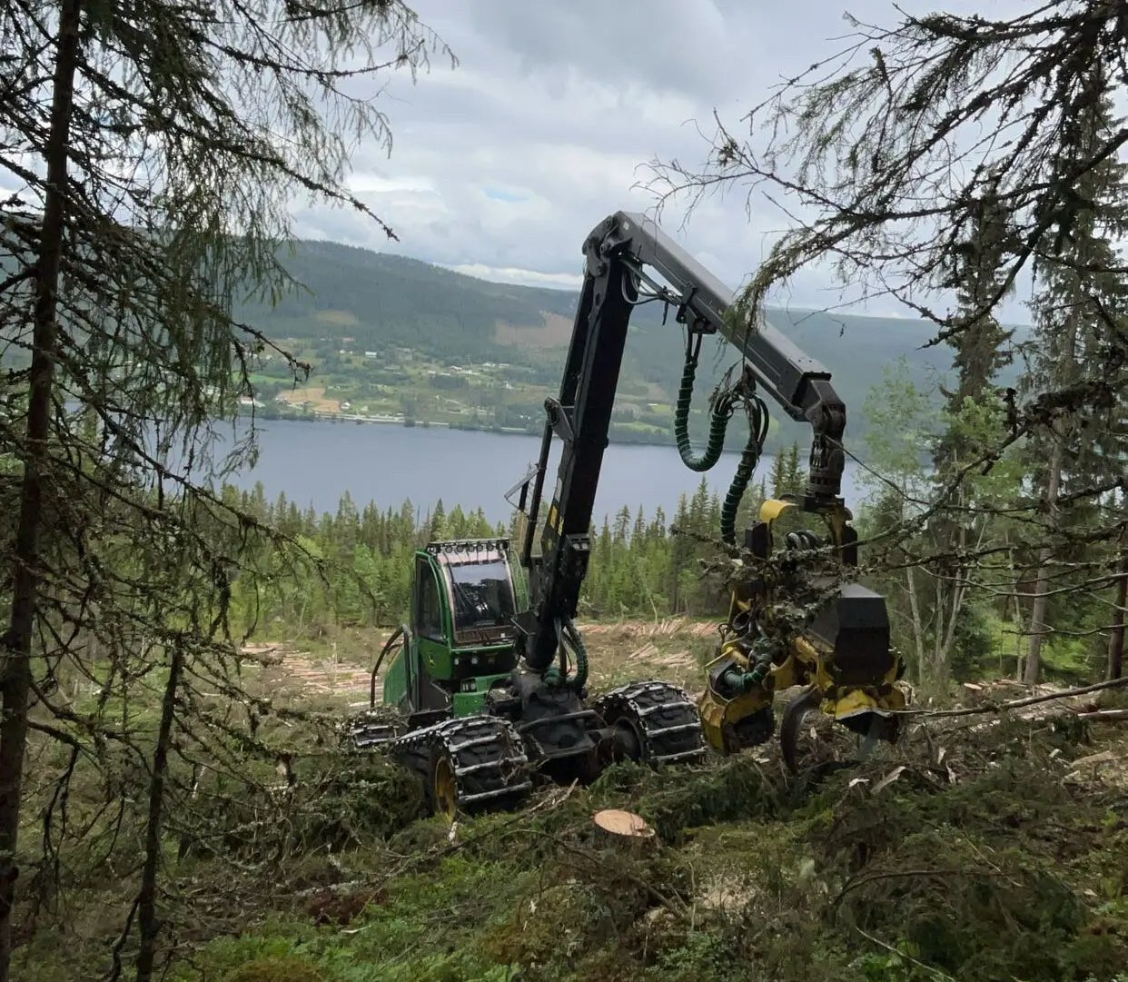 Bildet viser skogsmaskin hos Varli AS