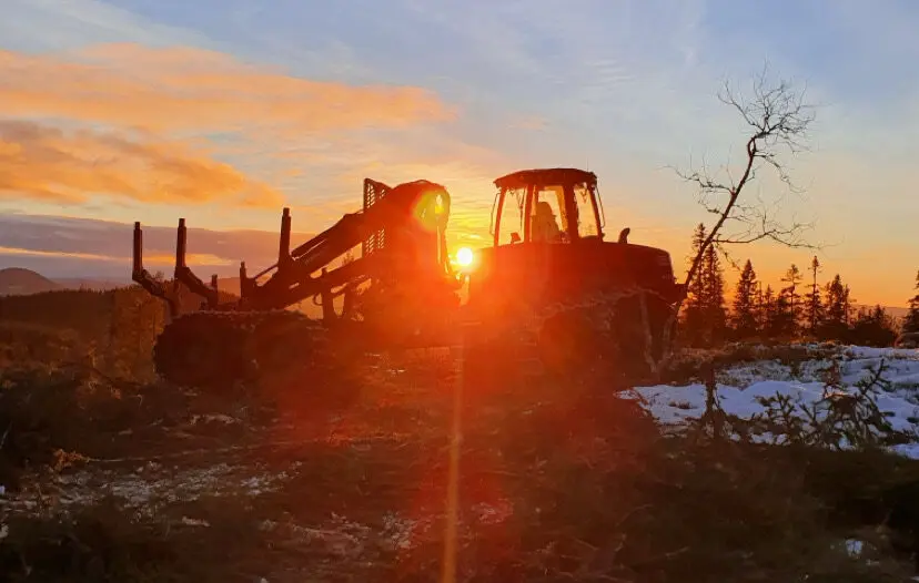 Bildet viser skogsmaskin hos Varli AS - Solnedgang